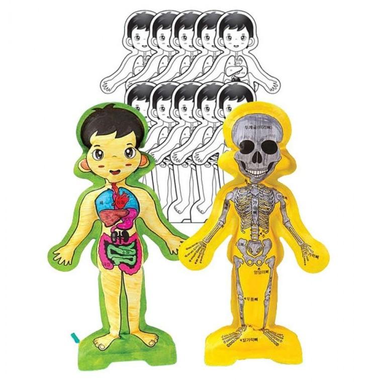 컬러링 빨대 편안한 풍선 인체 학습 10개 1P DIY 교구 장난감
