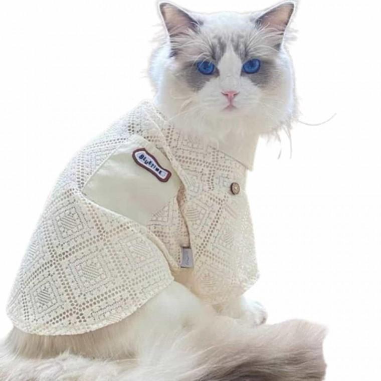 강아지 고양이 여름 셔츠 반려동물여름옷 애견여름옷 고양이 여름옷 애견 복 실내 강아지 반려동물