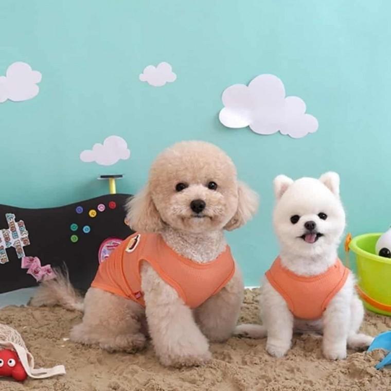 애견 여름티 오렌지 강아지여름옷나시 반려견여름옷 시원한 셔츠 애견 강아지 티 여름 옷 나시 반려견