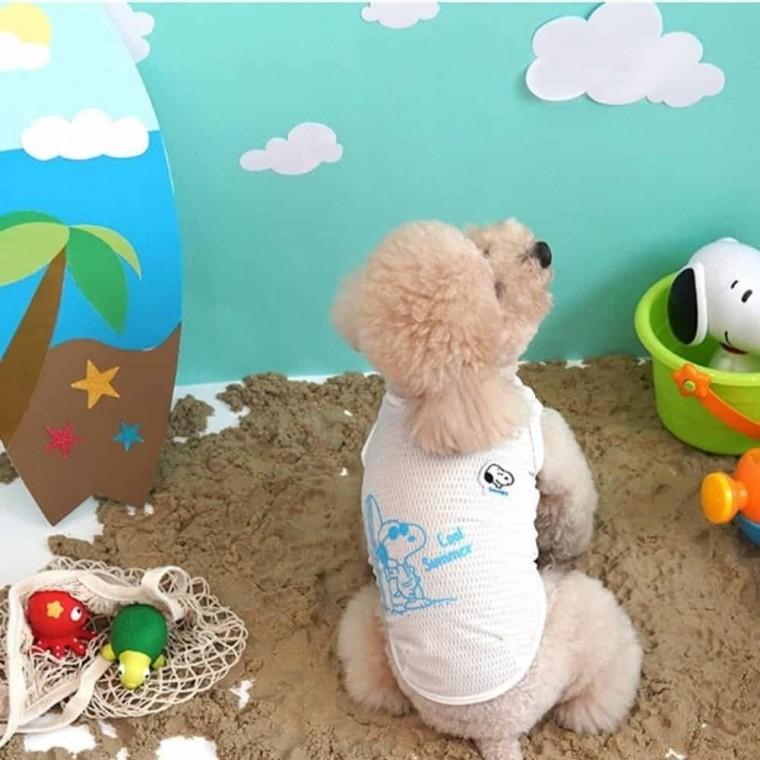 애견 여름티 화이트 강아지여름옷 반려견여름옷 나시 셔츠 티 강아지 시원한 옷 반려견 여름 애견 민소매