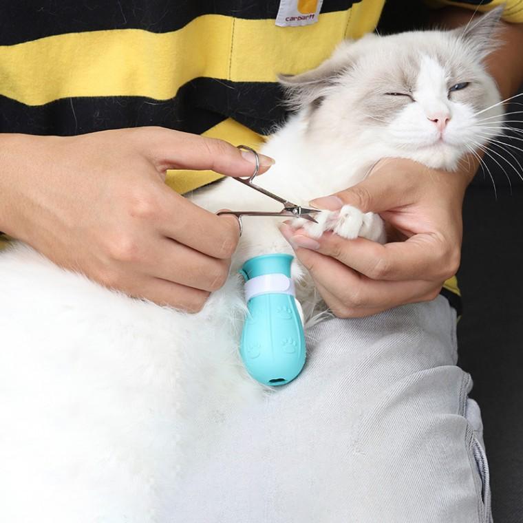 고양이 샤워 슈즈
