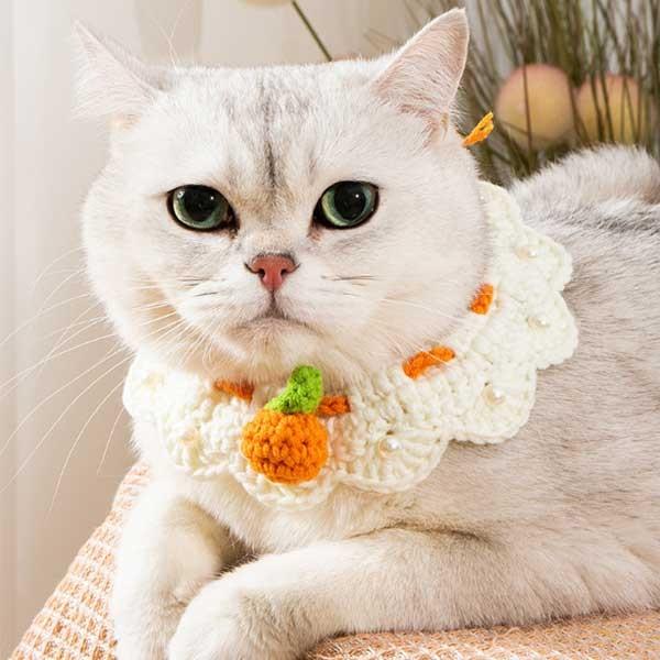 오렌지 볼 뜨개 진주 레이스 강아지 고양이 스카프 넥 카라 케이프