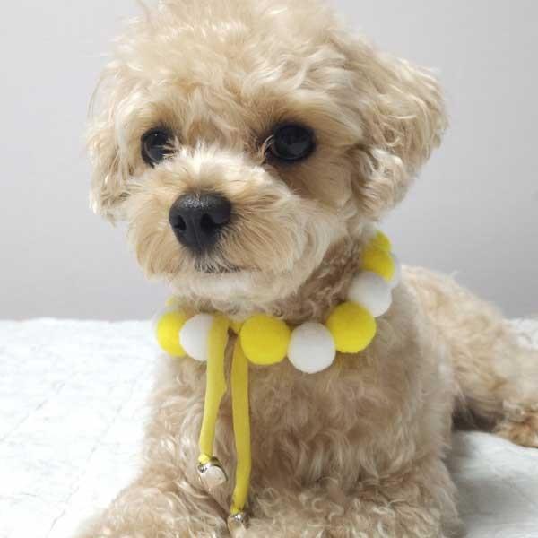 옐로우 폼폼이 뜨개 강아지 고양이 목걸이 스카프 넥 카라 케이프