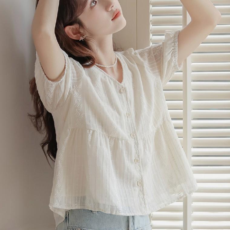 브이넥 자수 플레어 블라우스