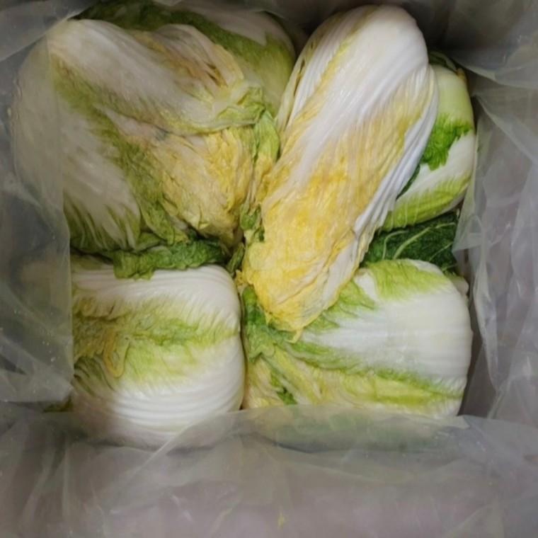 이지포장 김장봉투 PE투명 0.07t 45x70 (10매)