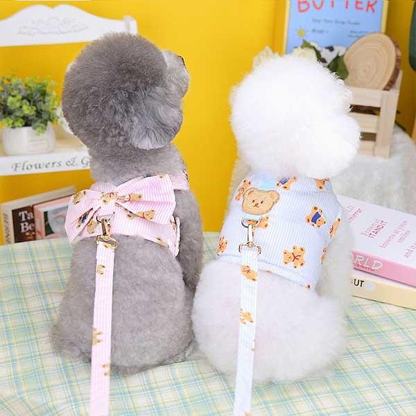 [리드줄세트] 왕리본 곰돌이 통기성 메쉬 똑딱이 단추 D링 산책 강아지 고양이 하네스옷