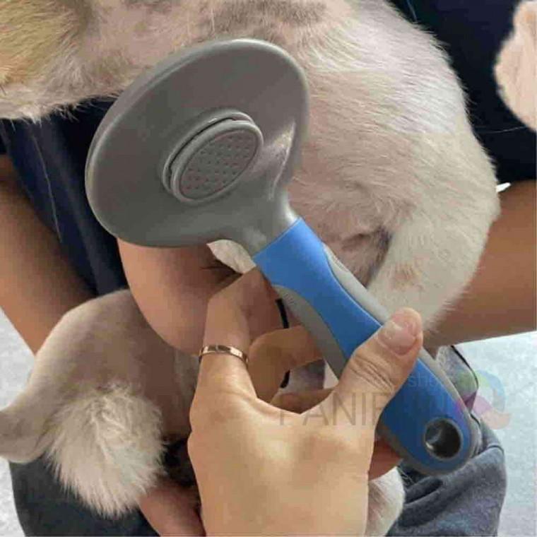 원터치 슬리커브러쉬 블루 강아지털청소기 강아지털제거 고양이털제거 펫브러쉬 고양이빗