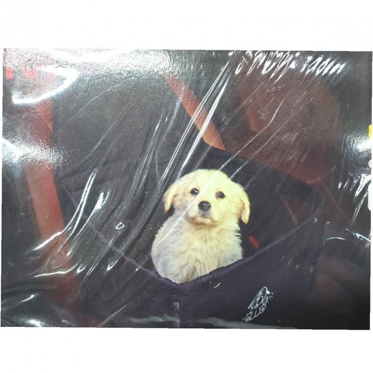 카시트 소재 고양이 반려동물 안전용품 사이즈 강아지