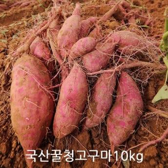 제철 꿀청고구마 못난이고구마