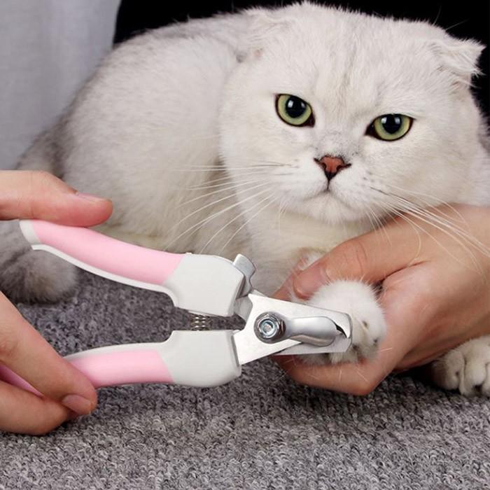 발톱갈이 강아지 고양이 발톱관리 반려동물 네일 트리머 강아지발톱손질 고양이 애견발톱손질 발톱자르기