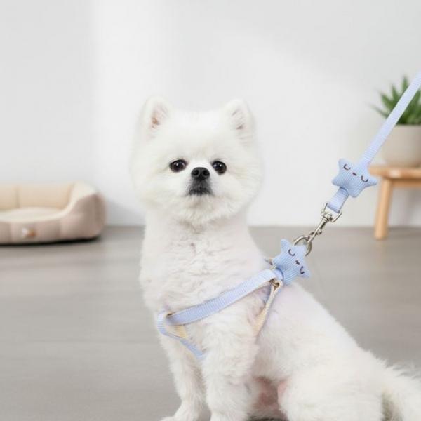 강아지 별 산책리드줄 소형견 중형견 야외줄