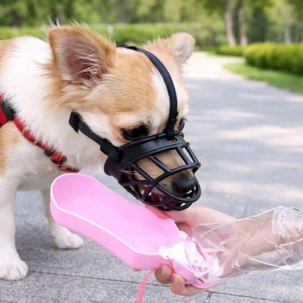 세이프독 강아지 입마개 산책 소형견 물림방지