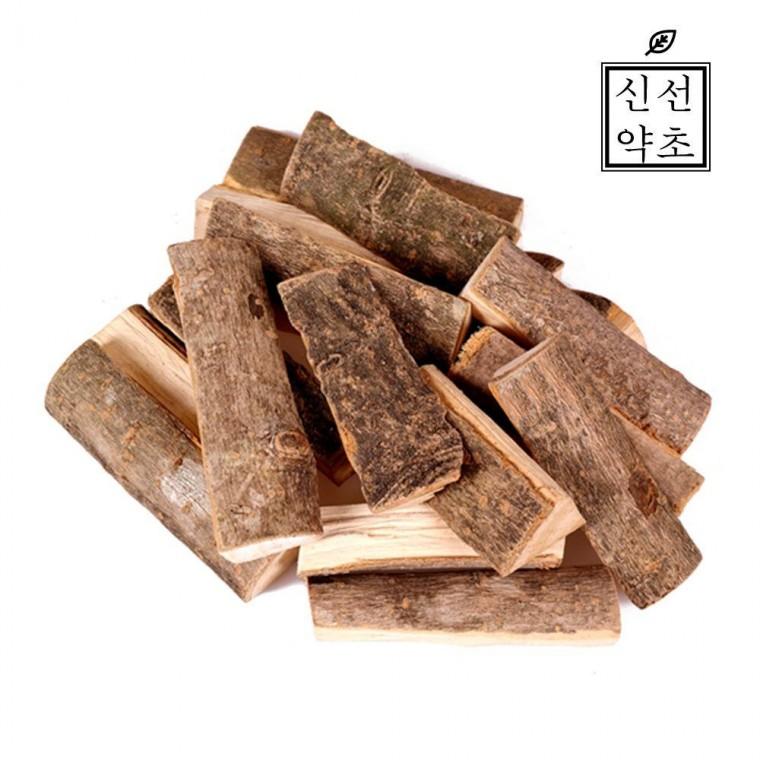 황칠나무 300g 인삼나무