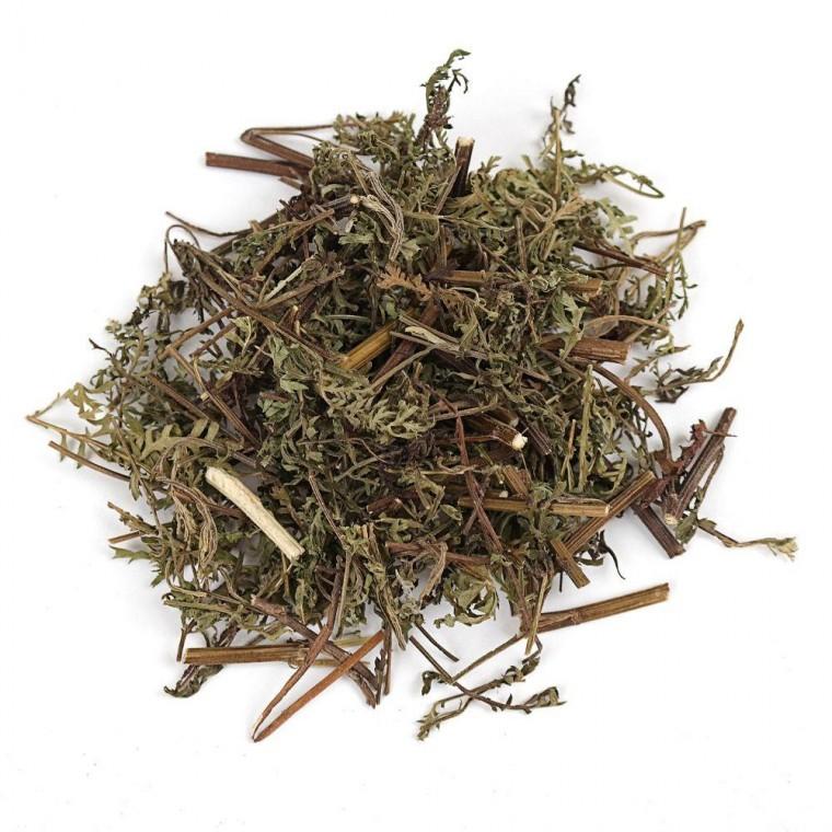 국산 인진쑥 300g 사철쑥