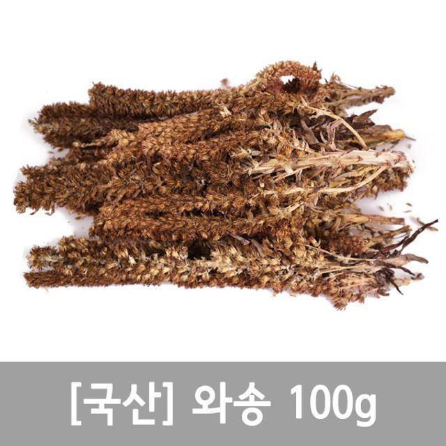 와송 기와솔 바위솔 100g
