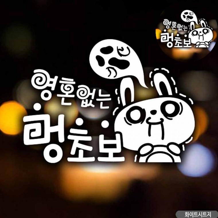 초보운전스티커 초보운전 자동차용스티커 왕초보스티커 자동차뒷유리스티커 차량용스티커 자동차스티커