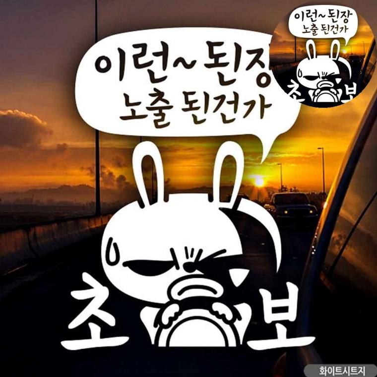 자동차용스티커 차량안전스티커 왕초보스티커 카스티커 초보운전스티커 자동차뒷유리스티커 자동차스티커