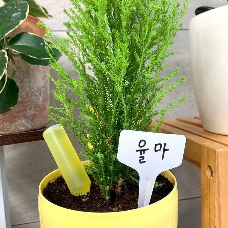 T형 식물 이름표 20개 한세트 10x6cm 흰색 원예