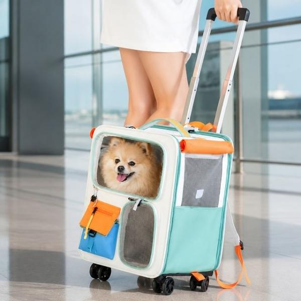 강아지 고양이 이동장 바퀴형 반려동물 캐리어 반려견