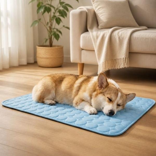 반려동물 아이스 실크 쿨매트 70x55cm 강아지 고양이 냉감 방석