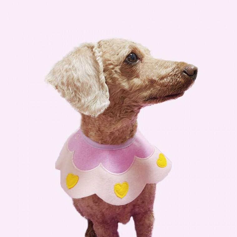 반려동물 턱받침 B 소