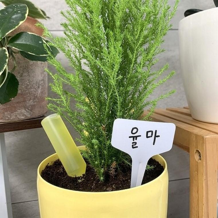 T형 식물이름표 20개 한세트 10x6cm 흰색