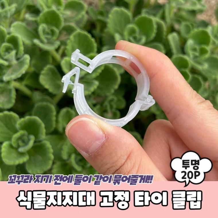 JPA 식물지지대 고정 타이 클립 투명 20P