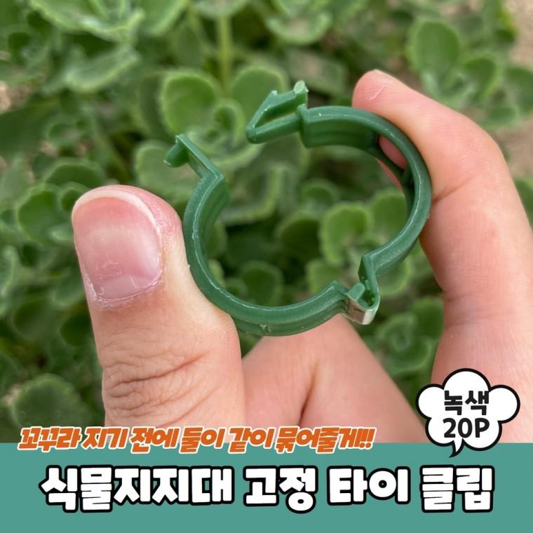 JPA 식물지지대 고정 타이 클립 녹색 20P