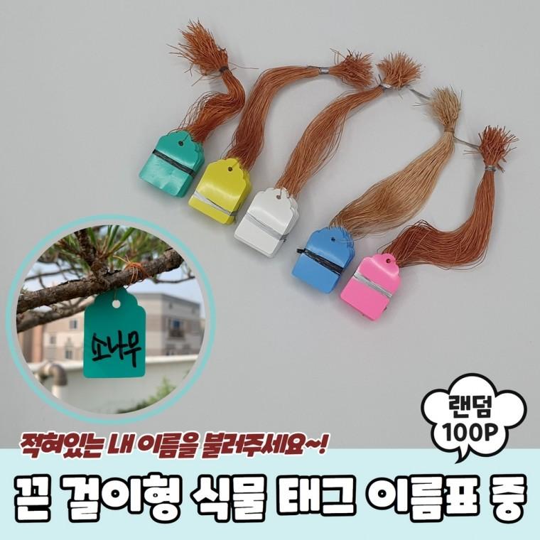 JPA 끈 걸이형 식물 태그 이름표 중 100P