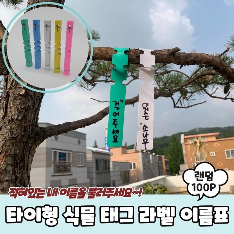 JPA 타이형 식물 태그 라벨 이름표 100P