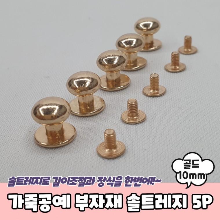 JPA 가죽공예 부자재 단추 솔트레지 골드 10mm 5P