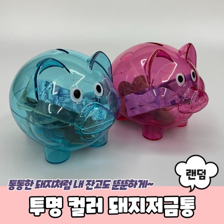 JPA 투명 컬러 돼지저금통