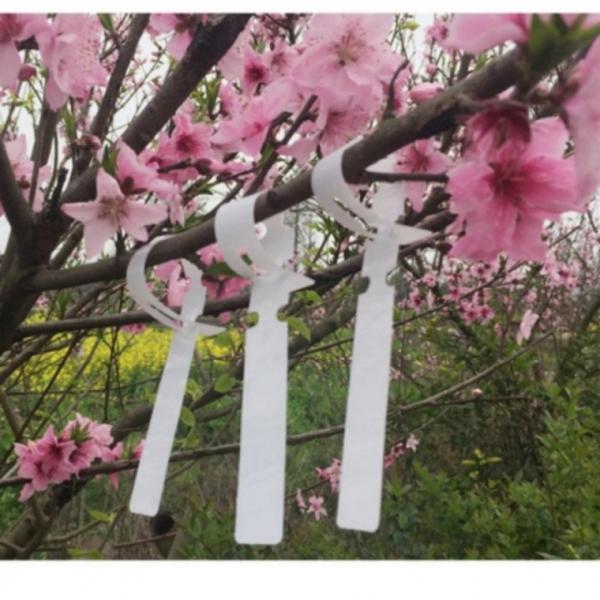 식물 나무 이름표 수목표찰 200p 플라스틱라벨 표식 식물라벨 걸이형