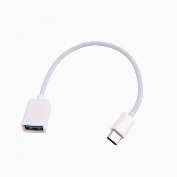 USB 3.1 C타입 OTG 변환 젠더 15cm 화이트