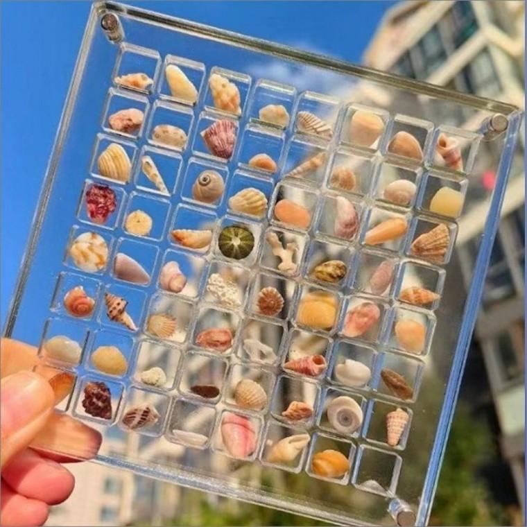 대용량 조개 투명 케이스 전시함 100칸 소품 보관함 정리함