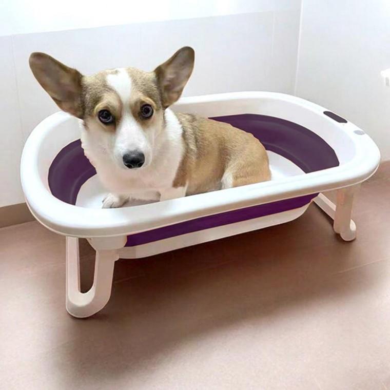 토토리빙 대형 접이식 고양이 애견 목욕탕 폴딩 애완 논슬립 목욕통 휴대용 반려동물 샤워통