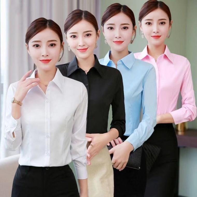 여성 셔츠 블라우스 면접 정장