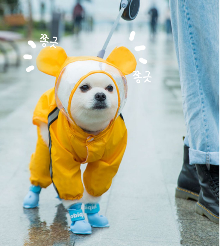 후드달린 강아지 우비 방수 마우스 레인코트 깜직한 디자인