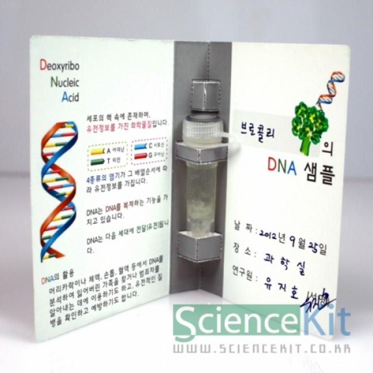 식물세포 DNA추출 샘플북 만들기 4인세트
