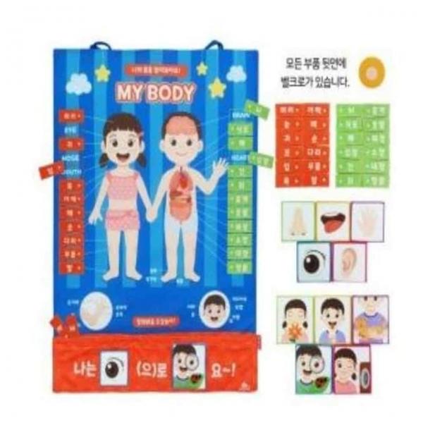 인체학습차트 학습교구 3세장난감 과학장난감 3살장난감