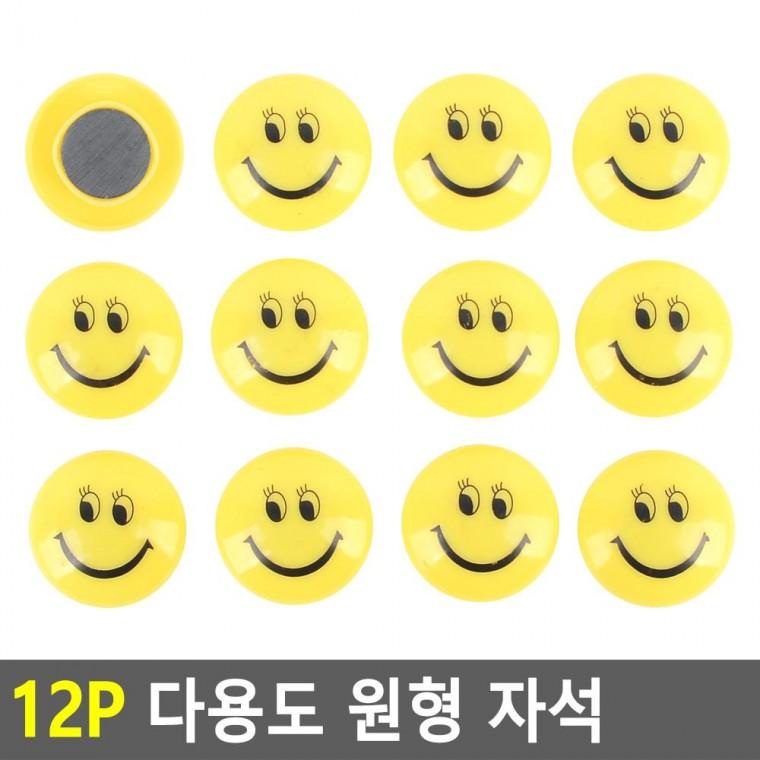 편리 실용 12P 다용도 원형 자석
