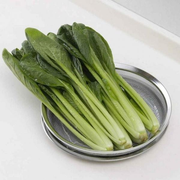 채반 25cm 스텐채반 스텐트레이