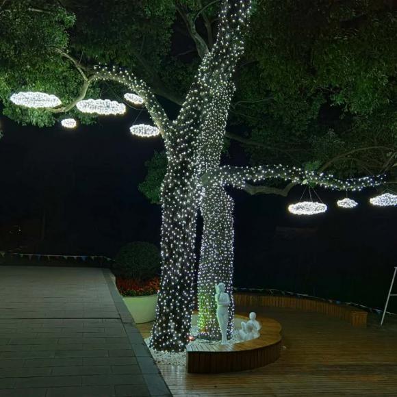 [은하수]100구 투명선 LED 백색 지니전구(10M) (전원잭별매) (연결가능) 장식 선물 에펠 이벤트 행사