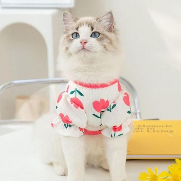 여름강아지티셔츠 강아지 옷 튤립 티셔츠 와플 PET 여름옷 퍼프