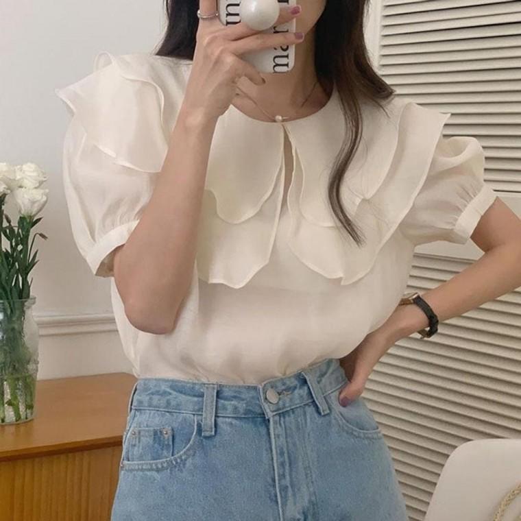 시스루 러블리 쉬폰 빅카라 블라우스 시스루 셔츠 브라우스 빅카라 오피스룩