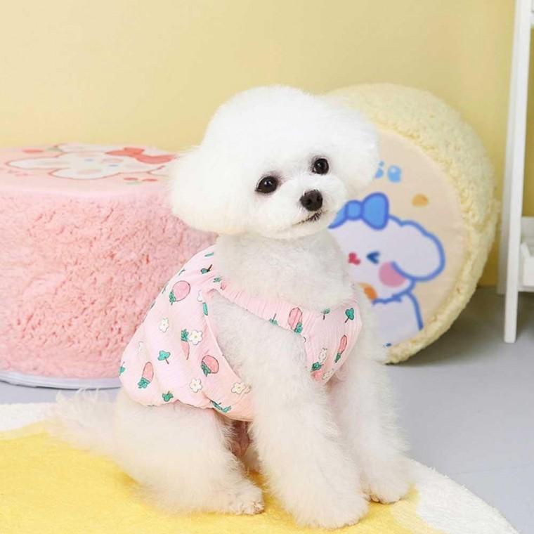 반려견 데일리 여름 산책 밴딩 나시 의류 스타일