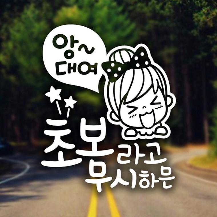 초보라고무시하믄 앙대여 반사시트지 자동차스티커