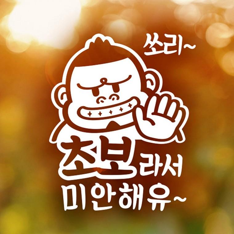 초보라서미안해유 쏘리 반사시트지 자동차스티커