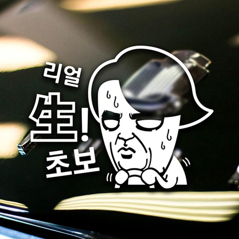 리얼생초보 반사시트지 자동차스티커