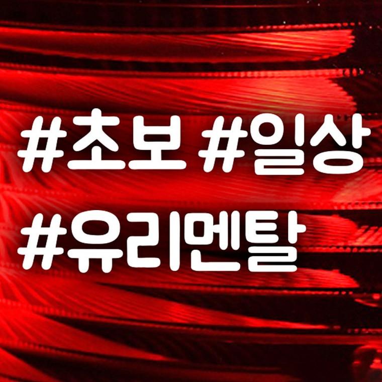 초보 일상 유리멘탈(텍스트) 반사시트지 자동차스티커